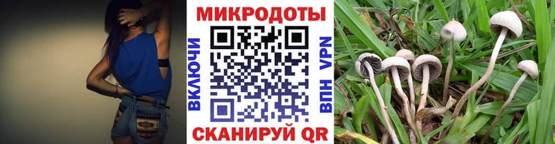 Псилоцибиновые грибы Magic Shrooms  Чекалин 